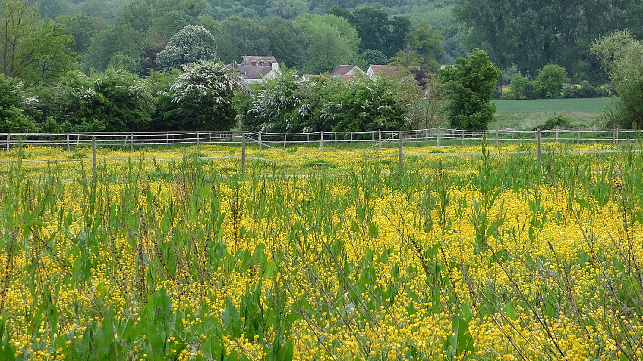 Paysages luzarchois